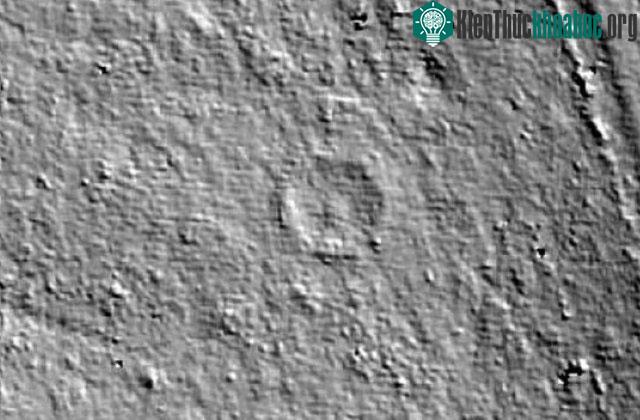 Hình ảnh LiDAR cho thấy cấu trúc hình tròn ẩn dưới cây rừng.