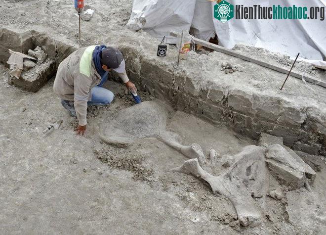Địa điểm khai quật nằm gần thủ đô Mexico City. (Ảnh: AFP).