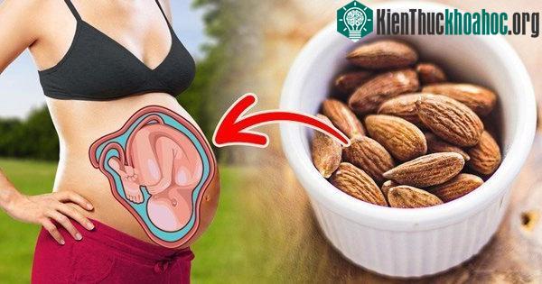 Hạnh nhân có thể cải thiện hoạt động của não.