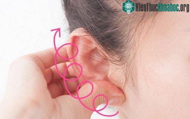 Thực hiện những động tác này trong 10 phút mỗi sáng, cả đời không phải uống thuốc ảnh 1