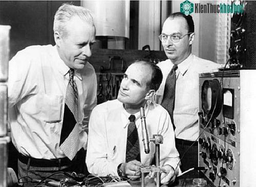 Từ trái sang: John Bardeen, William Shockley và Walter Brattain.