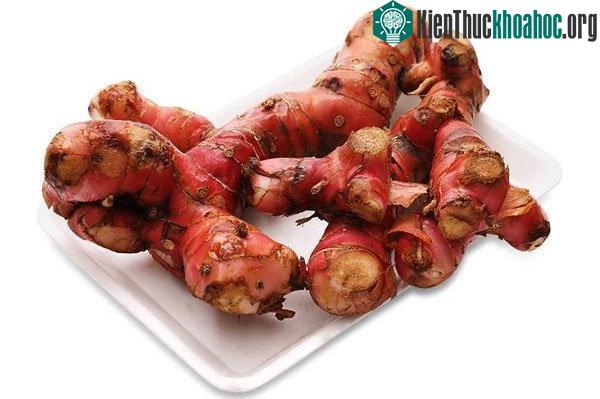 Hàm lượng chất chống oxy hóa trong riềng giữ cho làn da đẹp và khỏe mạnh hơn.