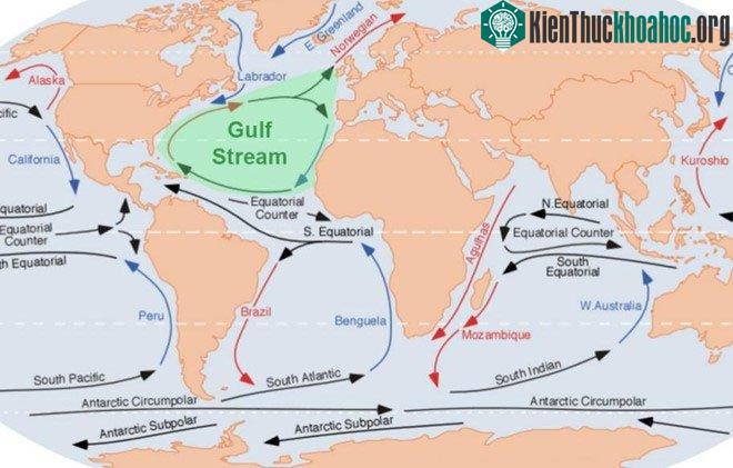 Dòng hải lưu Gulf giúp khí hậu Tây Âu ấm áp hơn ở Nga.