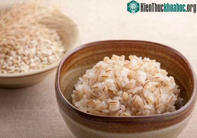Các nguồn chính của đường là gạo, mì ống, đường, mật ong, nước trái cây, trái cây,...