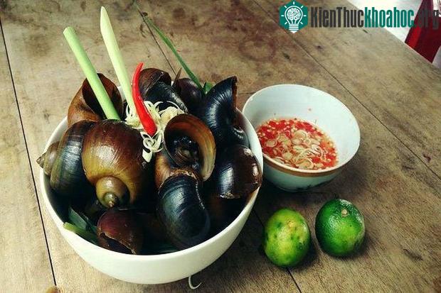 Tốt nhất sau khi ngâm ốc bằng nước vo gạo, nước chanh… bạn cần cẩn trọng làm từng con ốc.