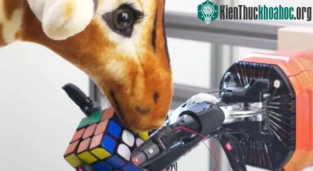 Nhóm nghiên cứu đã can thiệp vào các nhiễu loạn nhẹ cho robot để xem liệu nó có thể xử lý các sự cố bất ngờ không