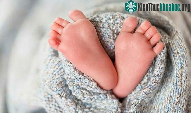 Dấu vân chân, vân tay được hình thành từ tháng thứ 4 của thai kỳ
