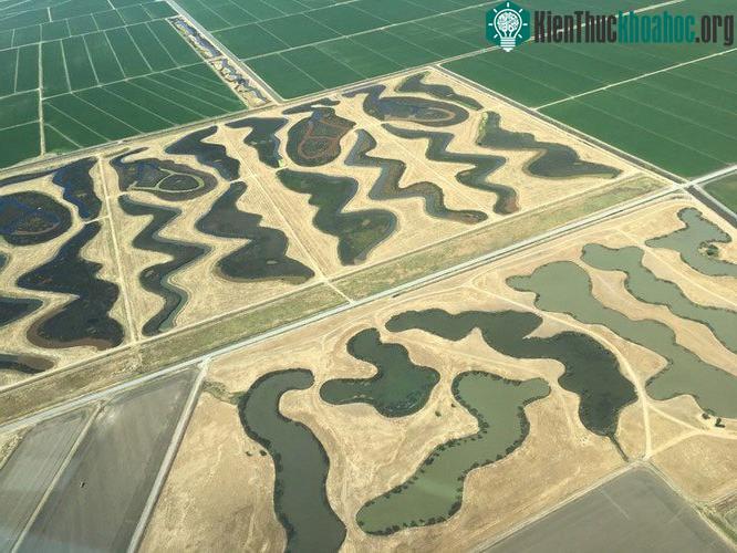 Đây là một phần của Bảo tồn lưu vực Natomas.