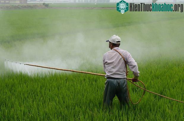Nông thôn tuy yên tĩnh, nhưng ô nhiễm phân bón, thuốc trừ sâu không hề nhẹ