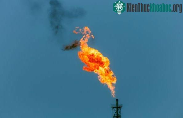 Tất cả quá trình hút carbon dioxide này đều diễn ra tại môi trường bình thường.