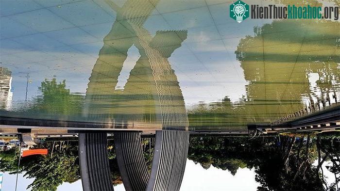 Lấy nét theo pha trên Samsung Galaxy S7 Edge.