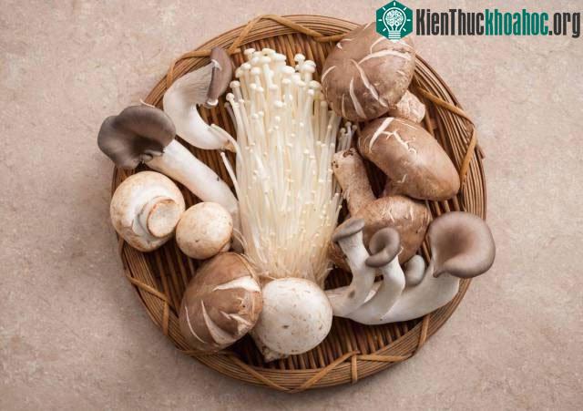 Thịt lợn, đậu nành, gạo, nấm là các thực phẩm giàu vitamin B.