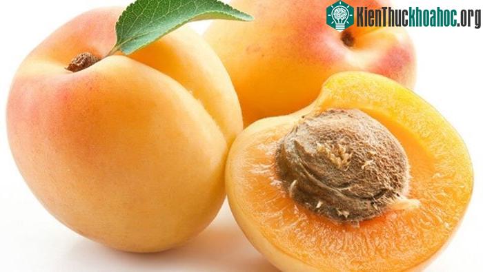 Quả mơ có chứa nhiều vitamin B15 giúp tăng cường chuyển hóa oxy trong tế bào.