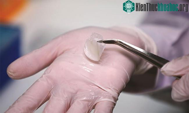 Loại da mới này có thể được sử dụng trong các thí nghiệm kiểm tra độc tính hoặc độ kích ứng của các loại hóa mỹ phẩm.