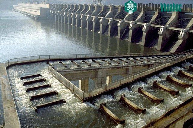 Thang vượt đập cho cá hồi