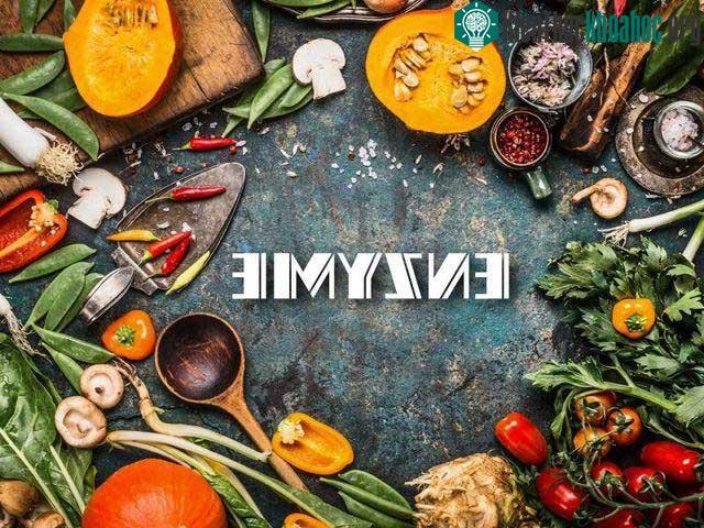 Trong thực tế, bản thân enzyme là một loại men.