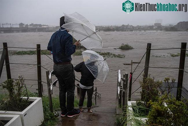 Tính đến sáng 13/10, siêu bão Hagibis đã làm ít nhất 7 người thiệt mạng và hàng chục người mất tích.