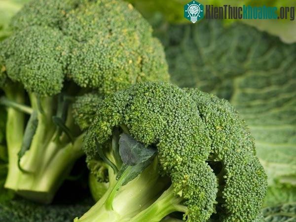 7 thực phẩm giúp ngăn ngừa ung thư tụy bạn cần nhớ ảnh 3