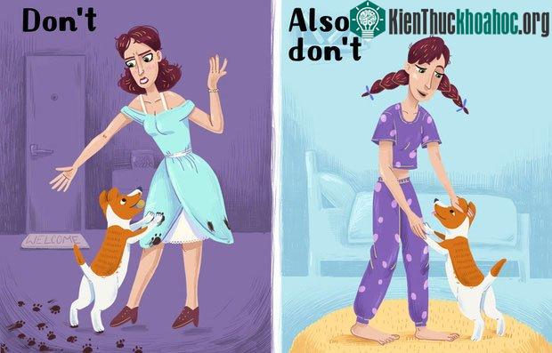 Không kiên định với chó