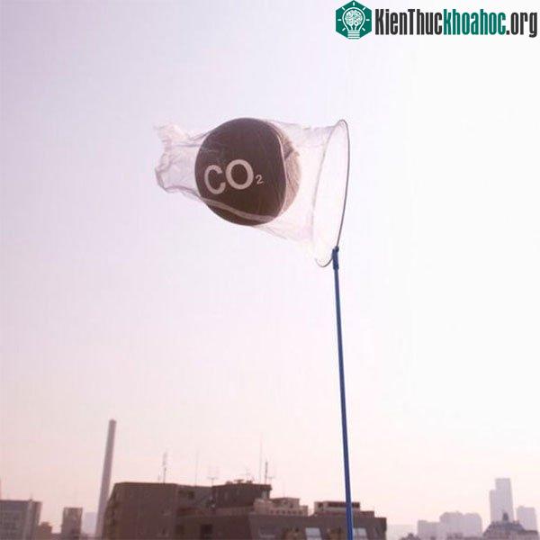 Tương lai và thách thức của CCU