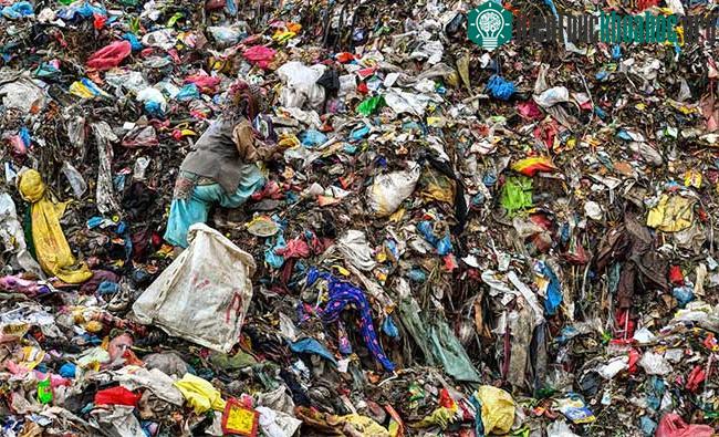 Một người đang tìm kiếm những thứ có thể bán được trong đống rác khổng lồ