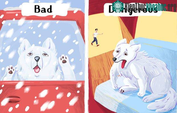 Bỏ lại chó trong ô tô