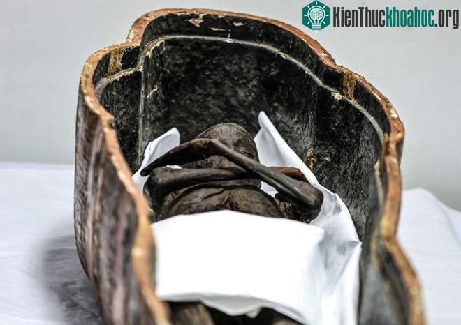 Quan tài sarcophagi làm bằng gỗ màu sẽ được phục dựng và trưng bày ở NMEC