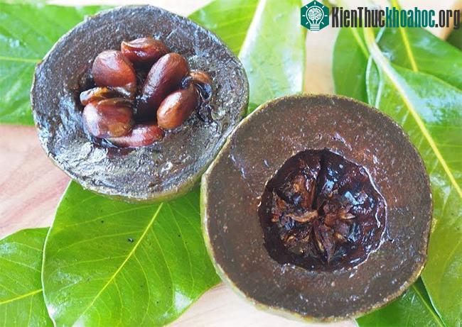 Quả thị đen