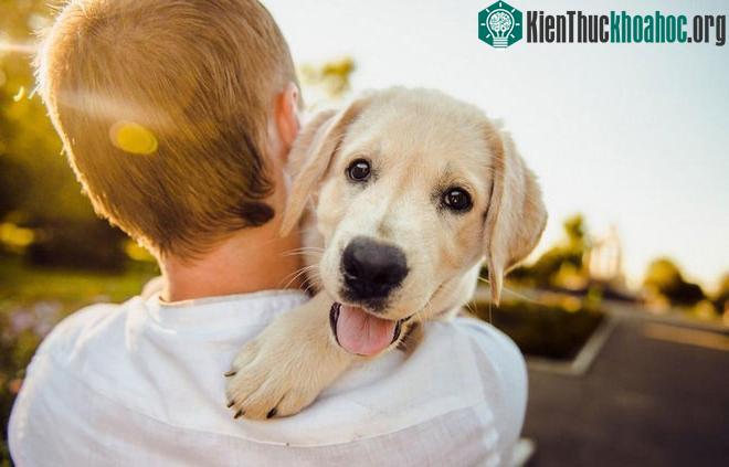 AI có thể đảm nhiệm vai trò như một người "phiên dịch" cho con người và động vật.