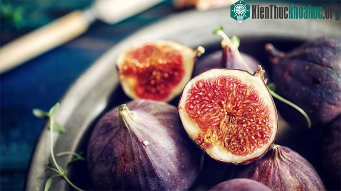 Vì hoa sung nở bên trong nên cùng trùng sẽ giúp sung thụ phấn.
