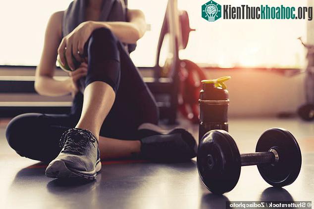 Các bài tập đốt năng lượng, cường độ cao cần cho mọi lứa tuổi
