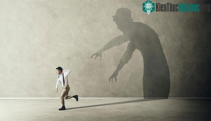 Vỏ não cingulate đóng vai trò trong việc chuẩn bị các phản ứng vận động và hành vi trong trường hợp bị đe dọa.