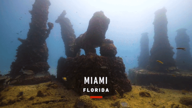 Đó là Neptune Memorial Reef – nơi an nghỉ vĩnh hằng dưới nước dành cho những người yêu biển. Nơi đây đang lưu giữ hài cốt của hàng nghìn người. Trước khi qua đời, nếu có nguyện vọng, người đã khuất...