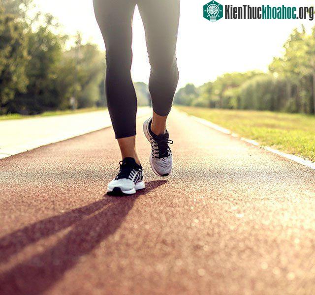 Đi bộ có thể giúp bảo vệ các khớp, bao gồm đầu gối và hông.