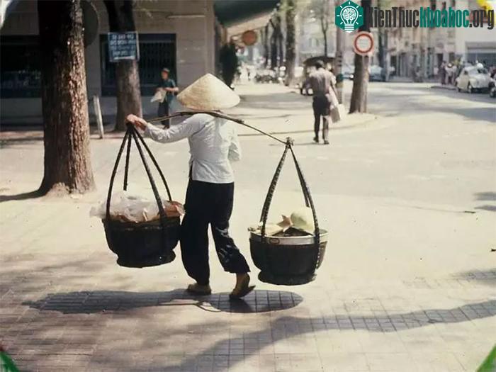 Đòn gánh tre uốn cong bảo vệ được vai của người gánh nhiều hơn.