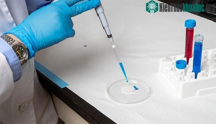 Các nhà nghiên cứu tại Đại học McMaster đã tạo ra một bề mặt tự làm sạch.