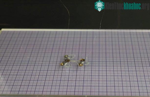 Robot ruồi có chiều dài 4cm và nặng 190 miligram.