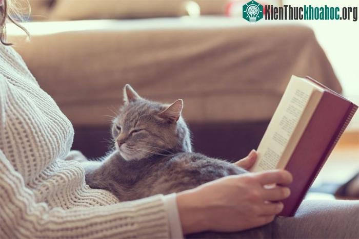 Từ khi còn bé, nhào bột đã là một phần trong hoạt động mỗi ngày của chú mèo.