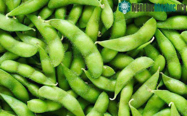 Protein trong đậu nành có thể làm giảm nguy cơ mắc các bệnh tim mạch.