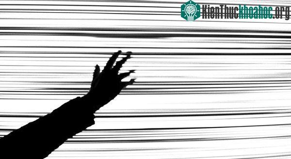 Tiếng ồn trắng là một tập hợp tiếng ồn phát ra đều đặn trên tất cả các tần số có thể nghe được của con người. (Ảnh: Beate Firlinger).