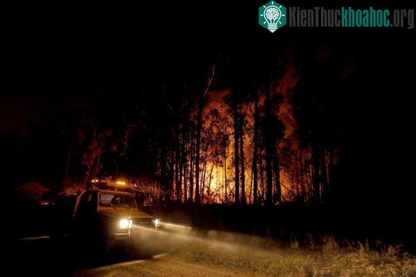 Ít nhất 12 triệu hecta đất đã bị thiêu rụi ở Australia. (Nguồn ảnh: nbcnews).