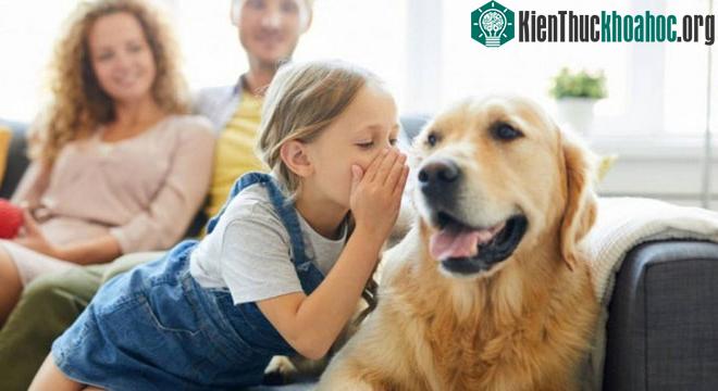 AI có thể nhận diện nét mặt, trạng thái và biểu cảm khuôn mặt của vật nuôi như một hình thức ngôn ngữ dễ nhận ra.