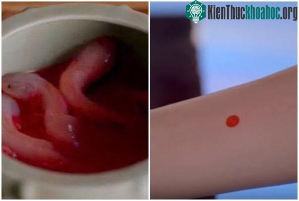 Phương pháp thủ cung sa để kiểm tra sự "trong trắng" của các cô gái trước khi nhập cung.