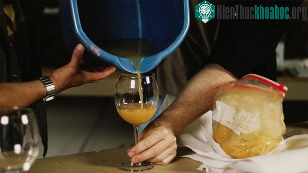 Pruno tất nhiên không phải là loại rượu hảo hạng gì, nhưng trong tù mà có rượu uống là tốt lắm rồi, cũng không thể đòi hỏi gì nhiều.