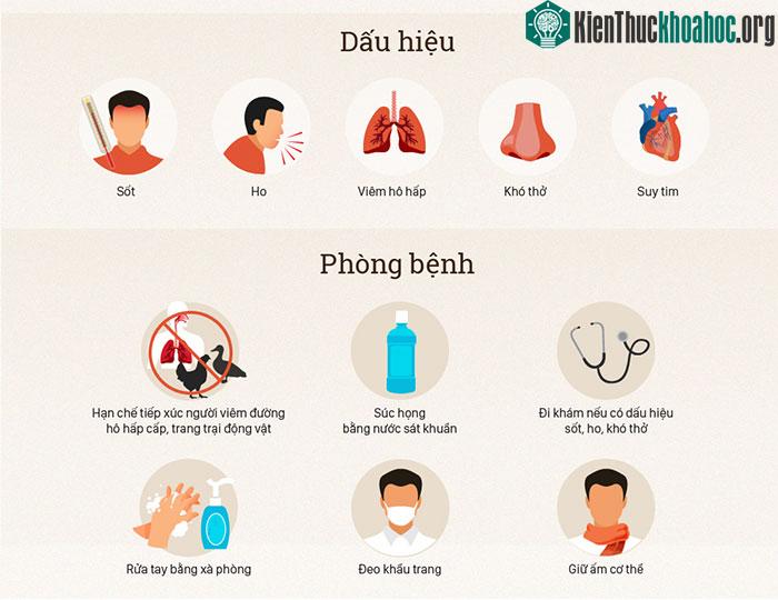 Bệnh viêm phổi lạ Trung Quốc nguy hiểm thế nào? ảnh 1