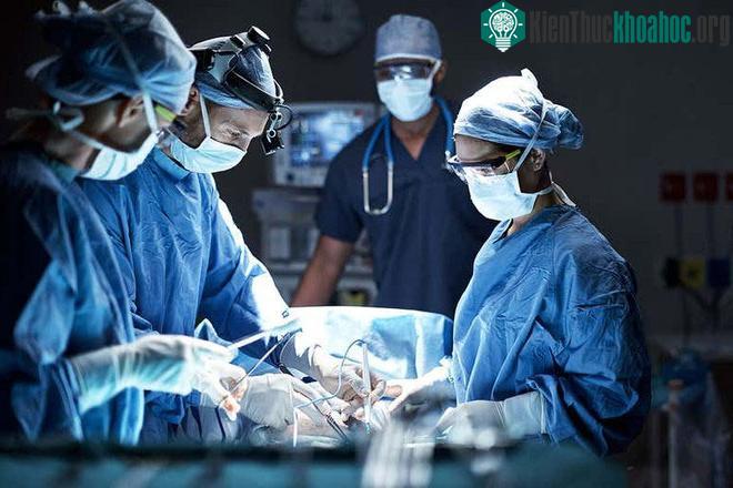 Nếu liệu pháp EPR được áp dụng rộng rãi, rất nhiều bệnh nhân sẽ được cứu sống. (Ảnh: New Scientist).