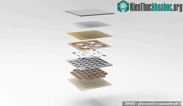 Các lớp của da nhân tạo