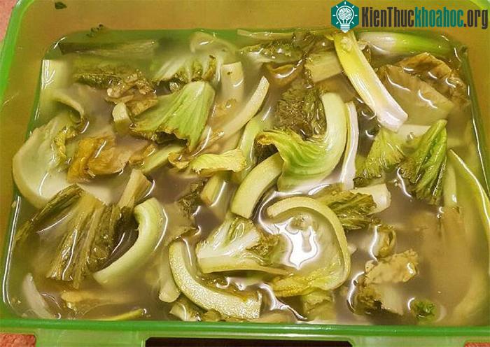 Bởi dưa muối xổi có chứa một lượng nitrat, dễ dàng chuyển đổi thành nitrite, có hại cho con người.