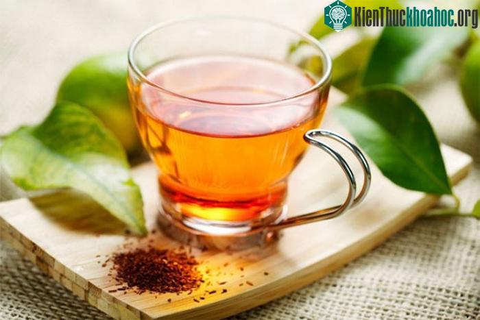 Uống nước lá vối giúp bạn giải khát, lợi tiểu tốt hơn, các chất độc sẽ được đào thải qua cơ quan bài tiết.