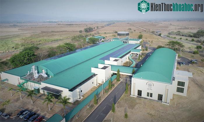 Nhà máy nuôi ruồi nhìn từ trên cao.
